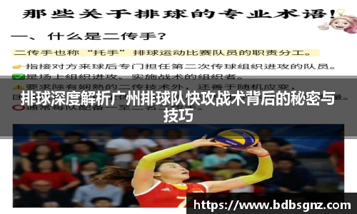 bsports官网入口