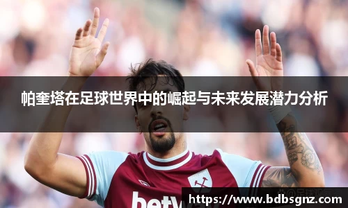 bsports登录入口
